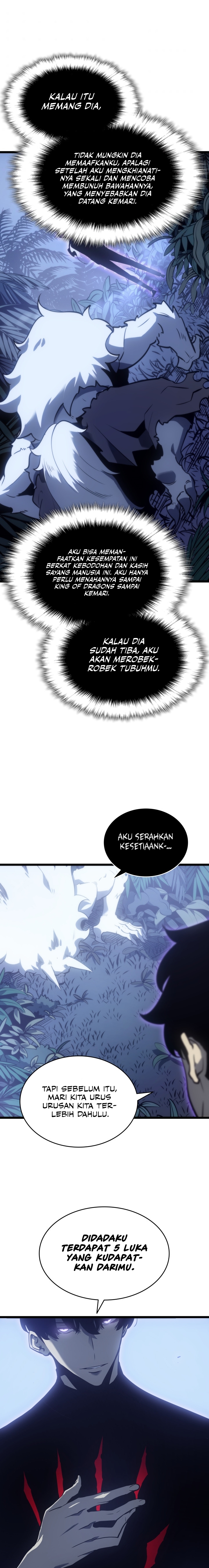 Solo Leveling - Chapter 165 14